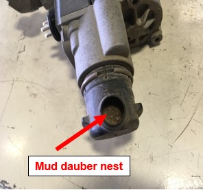 Mud dauber nest inside exhaust port